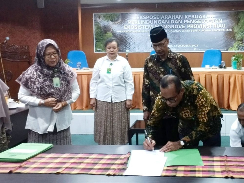 P3E Sumatera Fasilitasi 7 Kabupaten/Kota di Riau Dalam Pengelolaan Mangrove