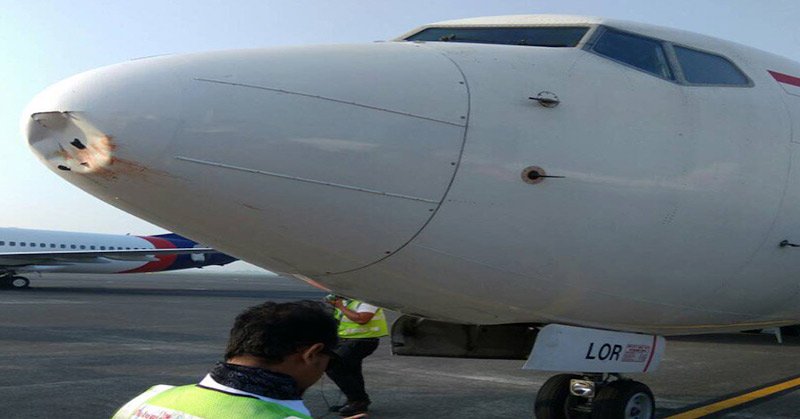 Moncong Pesawat Penyok dan Bolong Usai Menabrak Seekor Burung
