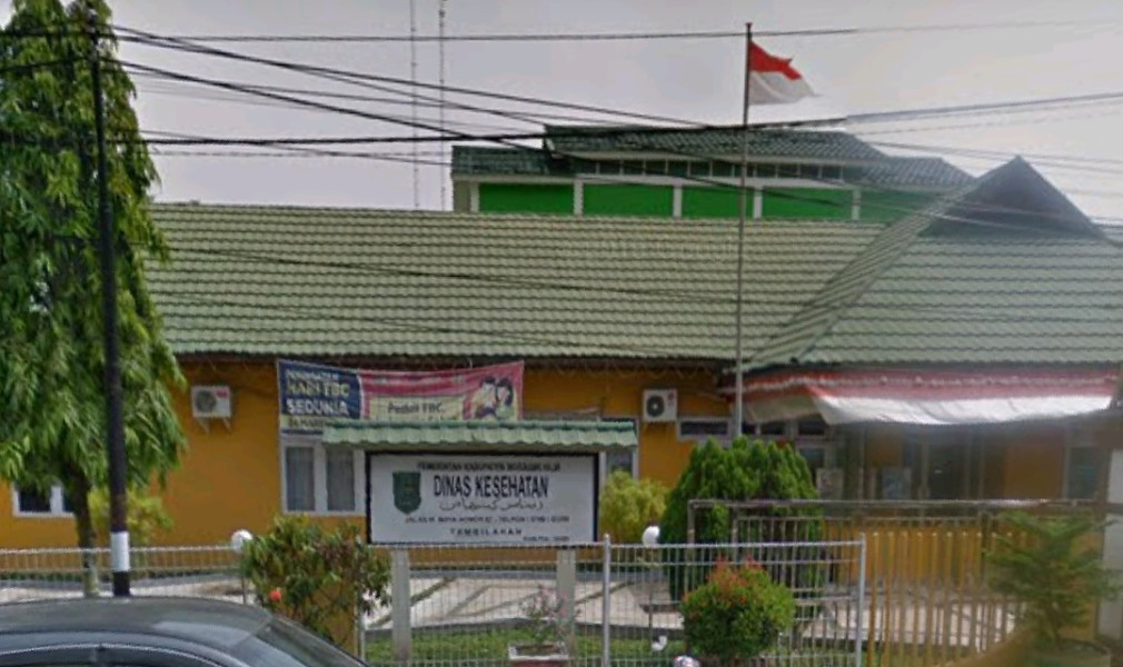 Berikut Penjelasan Tentang Hepatitis Menurut Dinkes Inhil