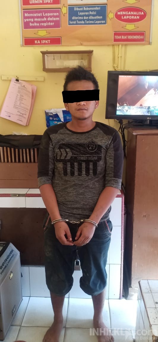 Nyolong Buah Sawit Milik PT.PP Lonsum, Pria ini Diamankan ke Polsek Galang