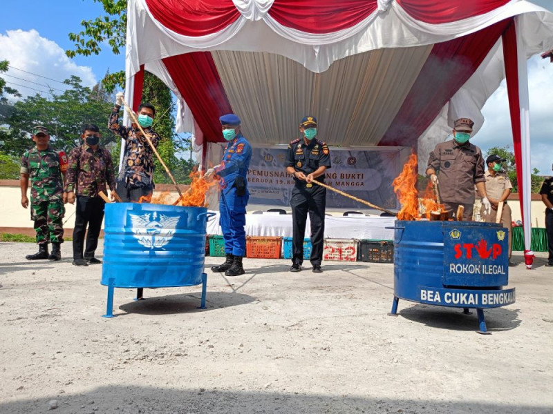 19.800 Kg Mangga Ilegal Asal Malaysia Dimusnahkan