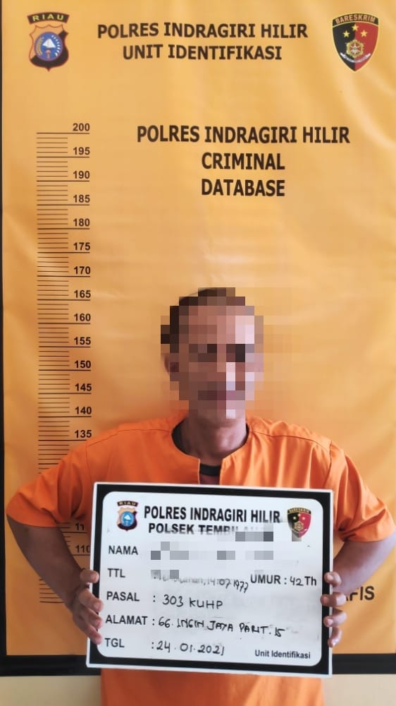 Tenaga Honorer di Inhil Ditangkap Polisi