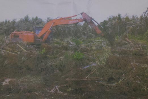 Sejarah dan Legenda Desa Tanah Merah, Kecamatan Tanah Merah, Indragiri Hilir