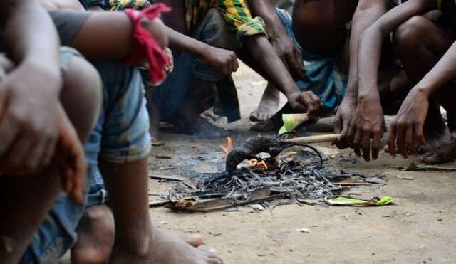 Warga di Daerah Ini Ramai-ramai Makan Tikus Karena Miskin, Ini Foto-fotonya