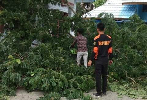 Aksi Tanggap dan Darurat Bencana Diaplikasikan BPBD Selayar Melalui Kesigapan Penanganan Pohon Tumbang
