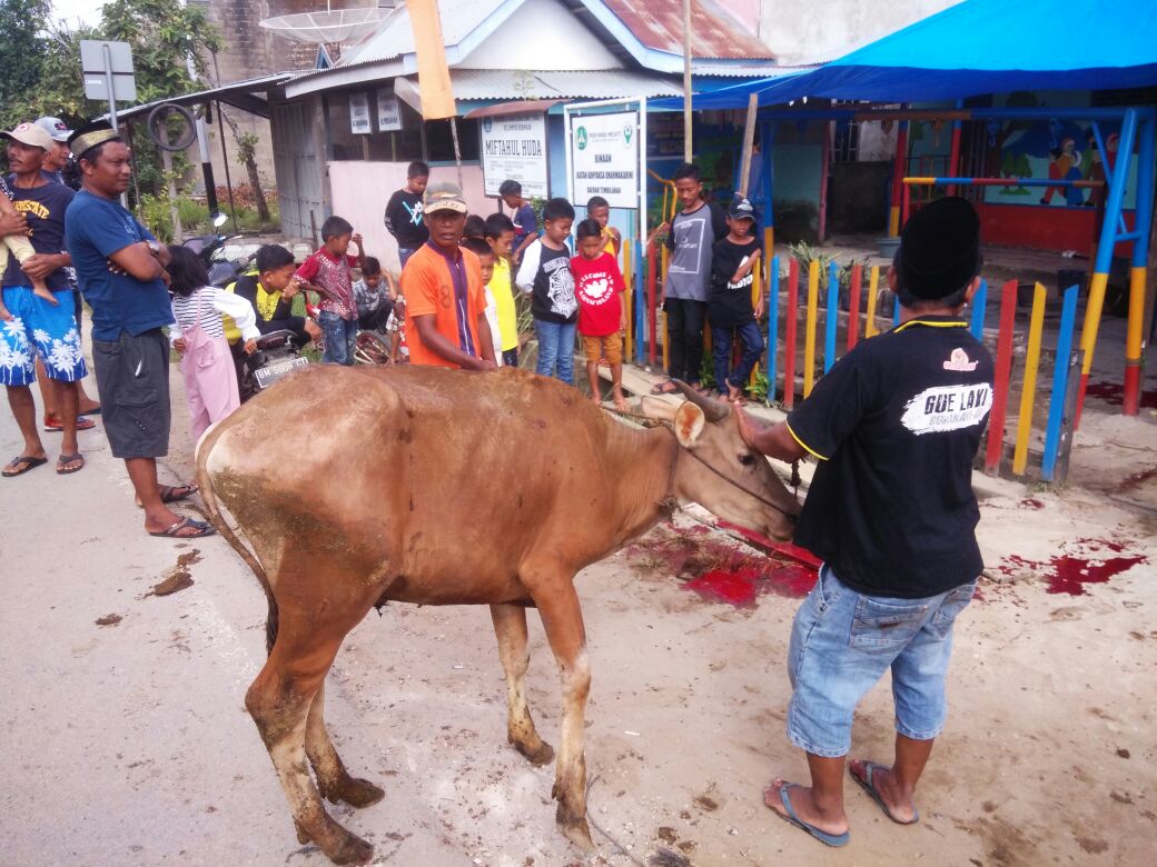 Paud Miftahul Huda Tembilahan Qurban Sebanyak 4 Ekor Hewan