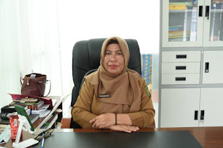 Dinkes Inhil Ajak Masyarakat Kenali Penyakit ISPA