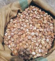 Harga Pinang Kering di Riau Minggu Ini Naik, Dihargai Rp4.840 per Kg