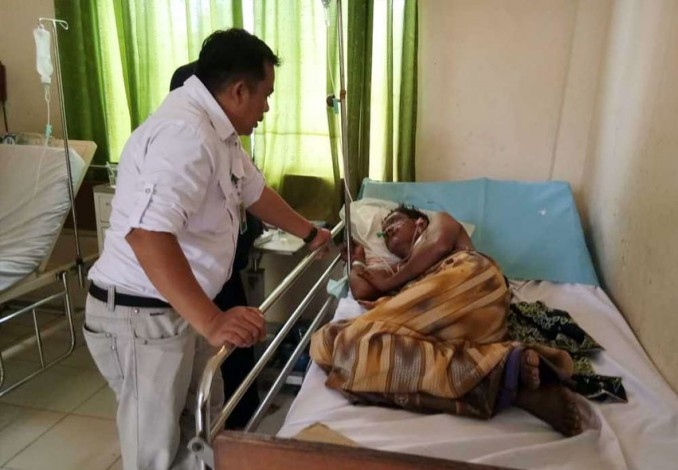 BBKSDA Riau Dalami Kasus Penyerangan Beruang