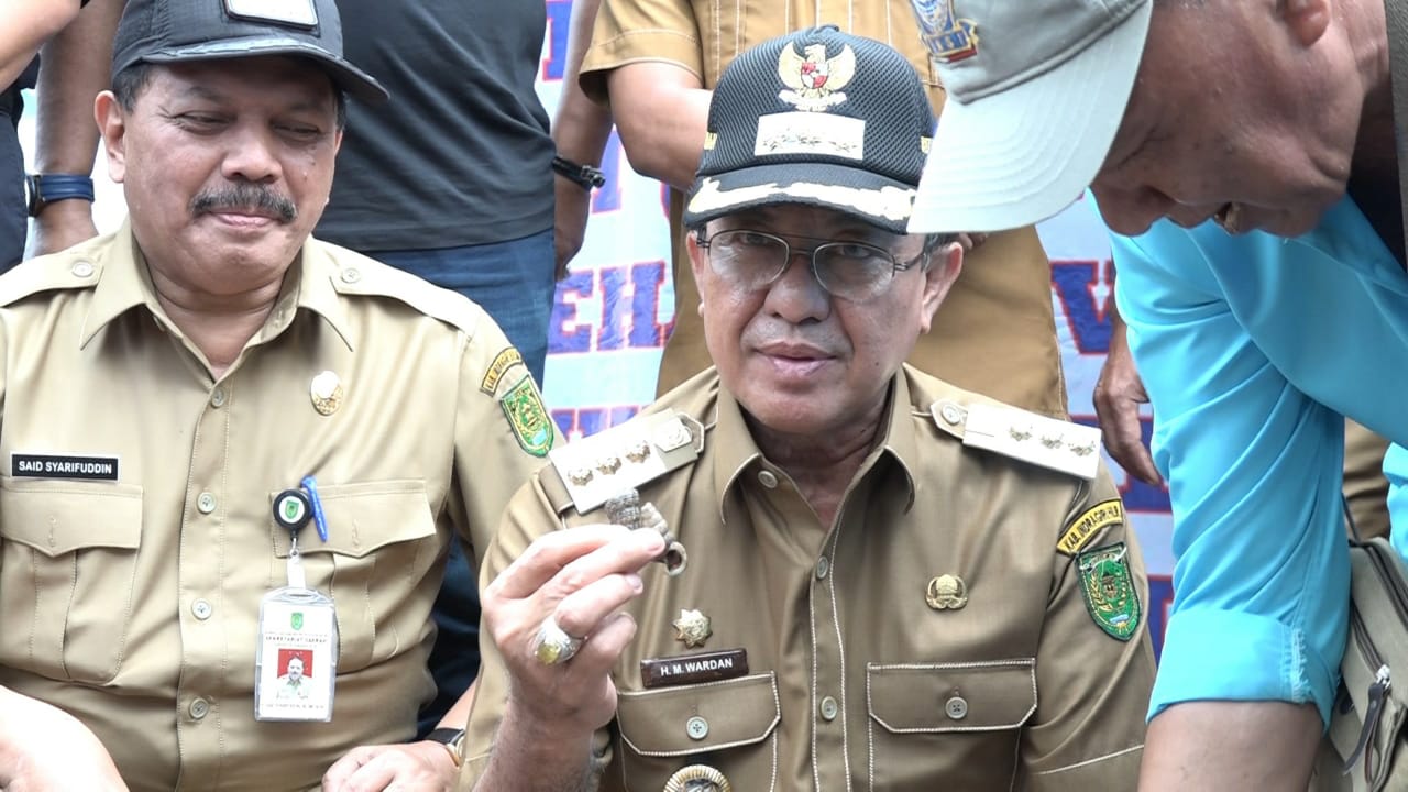 Bupati Inhil Lepas Ekspor Perdana Cincinot Menuju Negeri Jiran, Malaysia