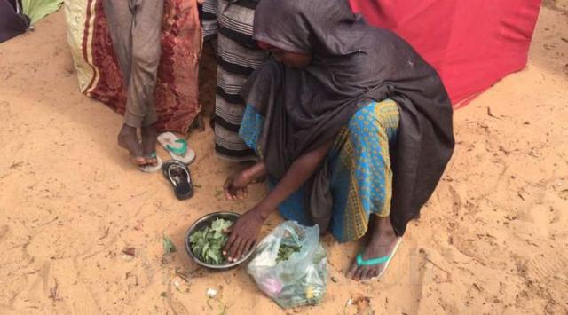 Sedih, Jutaan Warga Somalia Hanya Berbuka Puasa dengan Daun