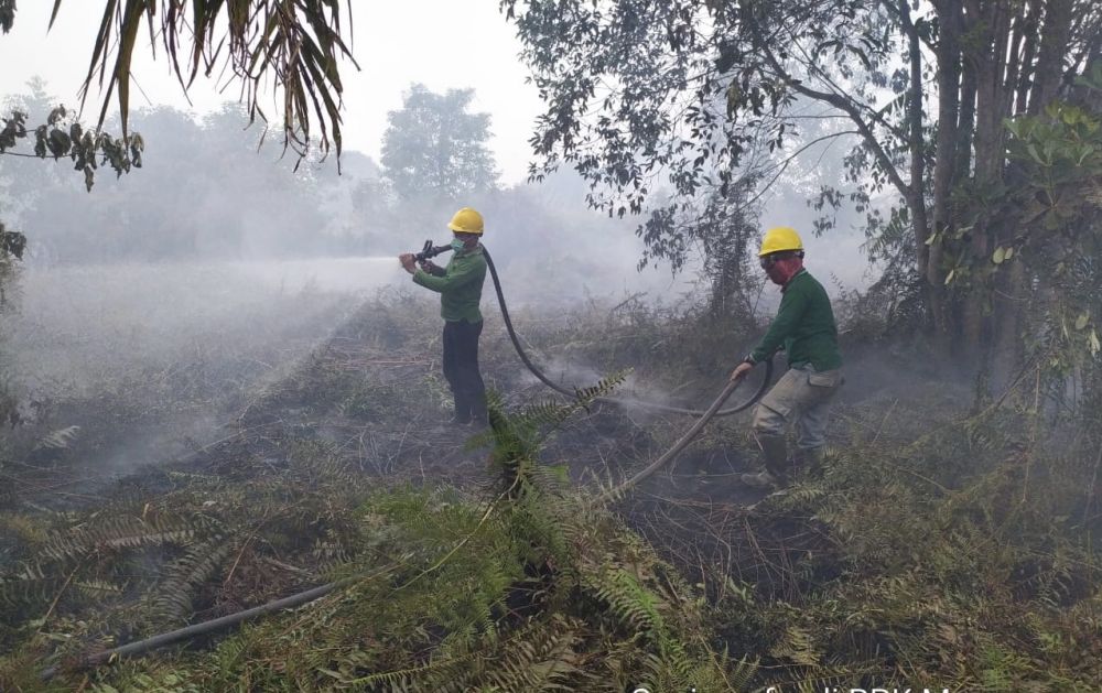 Swasta Diimbau Ikut Padamkan Karhutla
