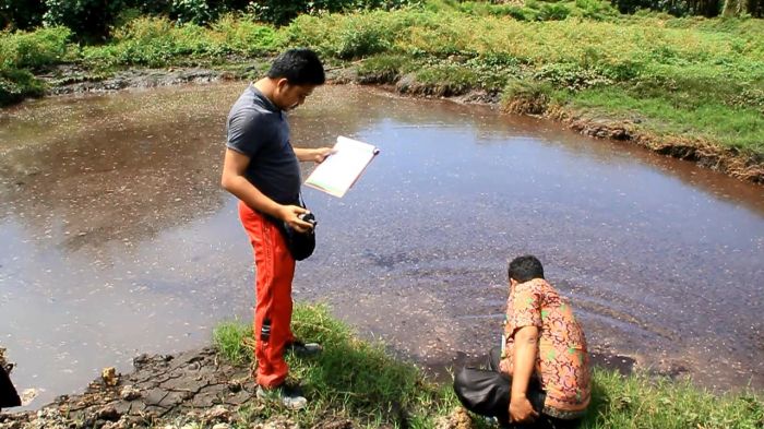 Tanggul Jebol, Limbah Pabrik PKS PT EMA Kepenuhan Cemari Sungai