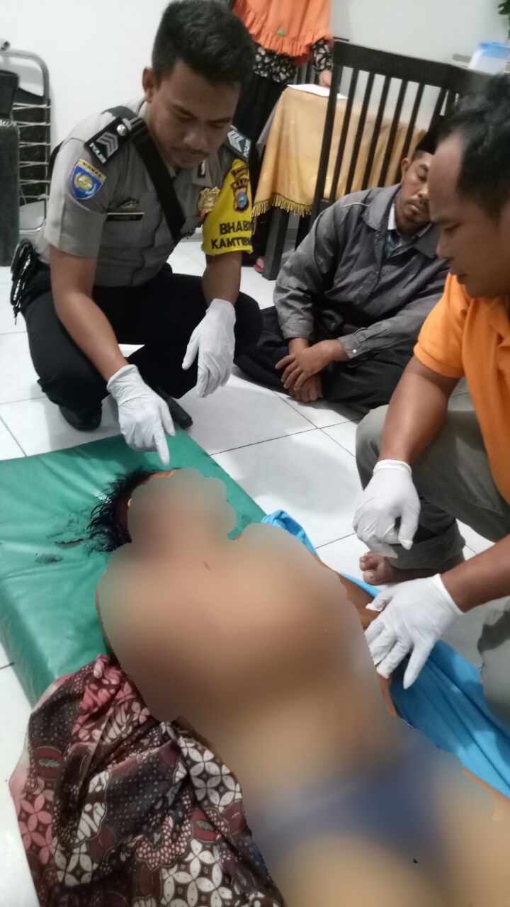 Harimau di Inhil Kembali Memangsa Korban