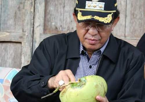 Inhil Komitmen Kembangkan Budidaya Kelapa Unggul