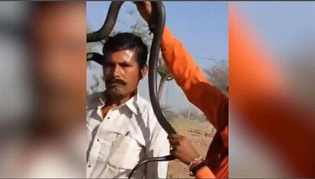 Berselfie Dengan Ular Kobra, Pria India Tewas Sebab Dukun Tak Mampu Menangani