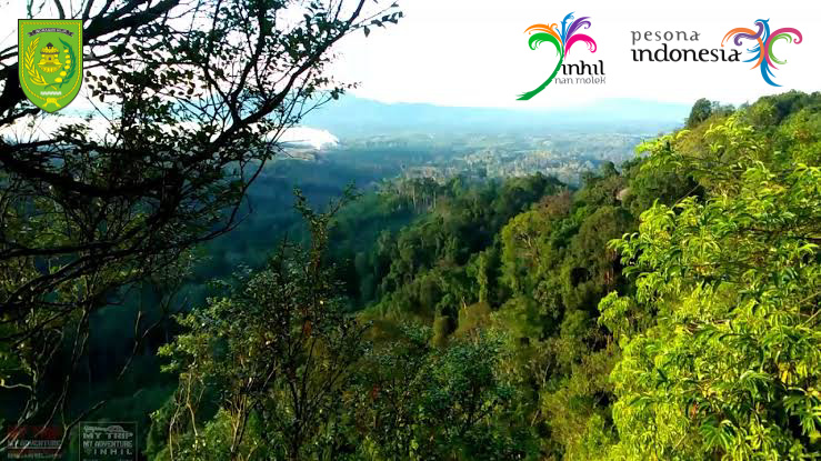 Lihat Indahnya Alam Bukit Berbunga Yang Asri