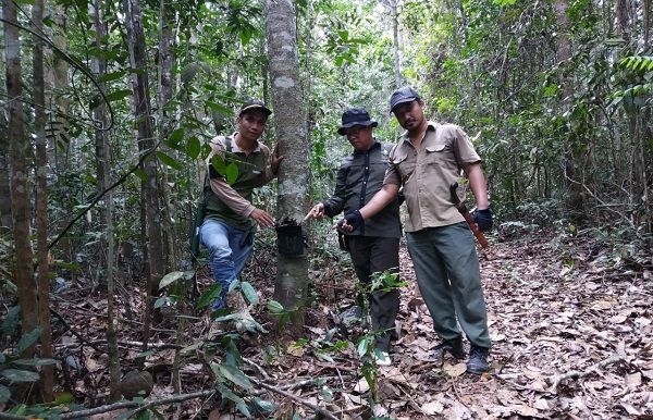 Ada Harimau Melintas, BBKSDA Riau Pasang Kamera Trap di Tol Muara Fajar