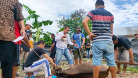 MUI Imbau Pengelola Kurban Iduladha Tidak Mencemari Lingkungan