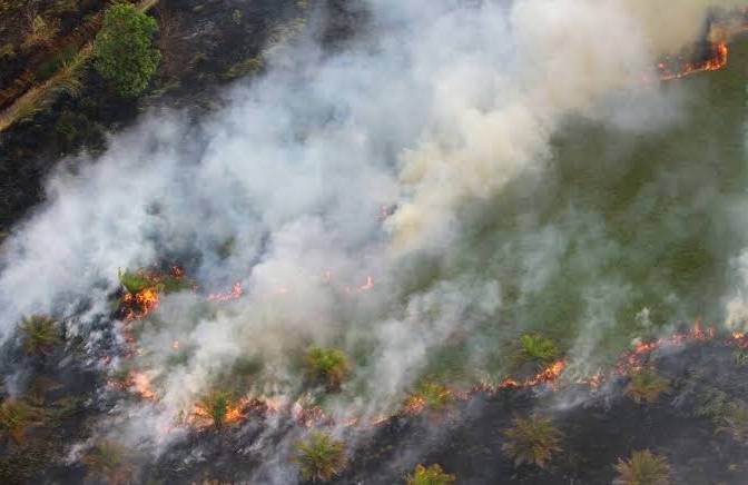 384 Titik Panas masih Terpantau di Sumatera