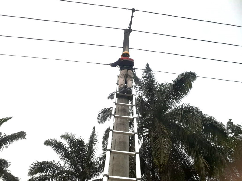 PLN Icon Plus Segel Kabel Ilegal dan Rapikan Jaringan FO