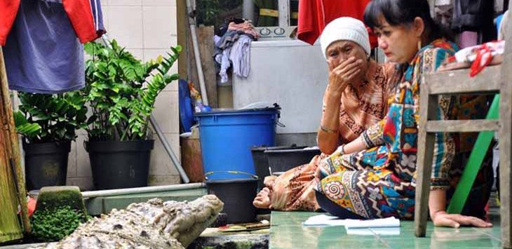 21 Tahun Hidup Bersama Buaya, Akhirnya Berpisah…